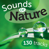 Sounds Of Nature (130 Tracks) - Yves Relos