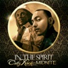 In the Spirit (feat. Midnite) - Single