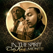 In the Spirit (feat. Midnite) artwork