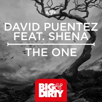 The One (feat. Shena) by David Puentez song reviws