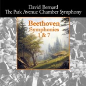 Symphony No. 7 in A Major, Op. 92: IV. Allegro con brio artwork