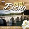 Bosno, Zemljo Mila - Merlo lyrics