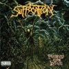 Torn Into Enthrallment - Suffocation Cover Art