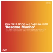 Besame Mucho (Sean Finn Club Mix) artwork