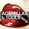 Live Your Life (Free Your Mind) [feat. NIC] [Acapella Tool] song lyrics