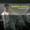 Lost Cause - Markus Schulz featuring Carrie Skipper lyrics