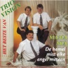 Het beste van Trio Vision, 2000