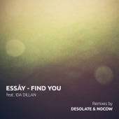 Find You (Desolate's Get Together Mix) artwork
