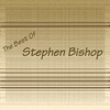 Stephen Bishop artwork