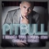 Pitbull - I know you want me