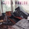 Folk Insomnia - Darren Hanlon lyrics