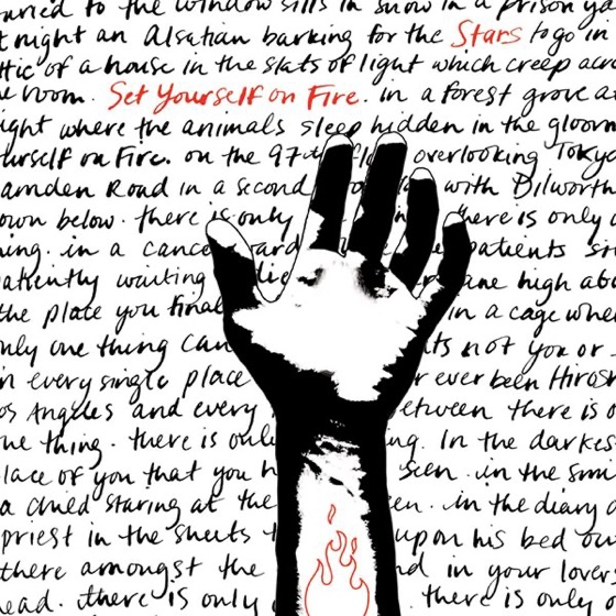 Cover artwork for Ageless Beauty