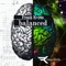 Balanced - Frank Kvitta lyrics