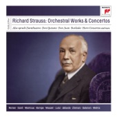 Richard Strauss: Orchestral Works and Concertos artwork