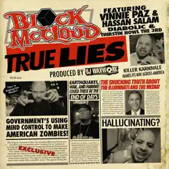 True Lies (feat. Vinnie Paz & Hasan Salaam) Song Lyrics