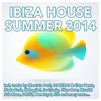 Ibiza House Summer 2014 (Deluxe Version) by Various Artists album reviews, ratings, credits