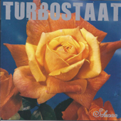 Schwan - Turbostaat