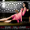 Best Sound of Chill & Lounge 2013 (33 Chillout Downbeat Tunes With Ibiza Mallorca Feeling) - Various Artists