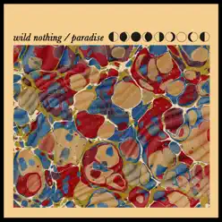 Paradise - Single - Wild Nothing