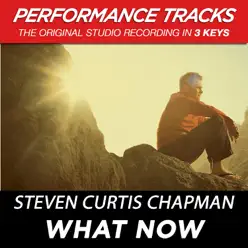 What Now (Performance Tracks) - EP - Steven Curtis Chapman