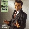 Tribute to Buddy Holly - Single