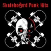 Skateboard Punk Hits artwork