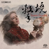 Concerto for Percussion and Chinese Orchestra: II. I Believe artwork