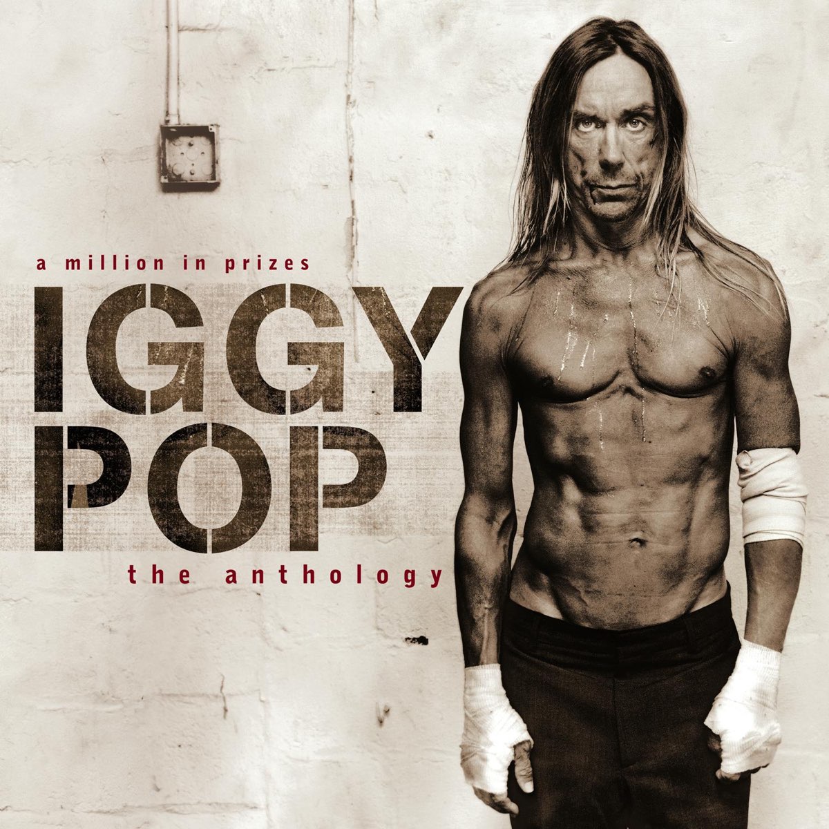 ‎Iggy Pop在 Apple Music 上的《A Million In Prizes The Anthology》