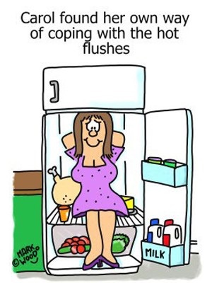 Hot Flash Free! cover