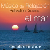 Relaxation Dreams, Música de Relajación artwork
