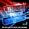 Trance Voice Experience, Vol. 5 (The Very Best in Vocal Club Anthems), 2014