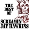 I Put a Spell on You by Screamin' Jay Hawkins iTunes Track 28