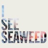I See Seaweed, 2013