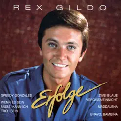 Rex Gildo: Erfolge - Rex Gildo