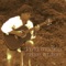 Peaceful Heart - David Modica lyrics