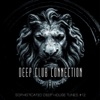 Deep Club Connection, Vol. 12, 2013