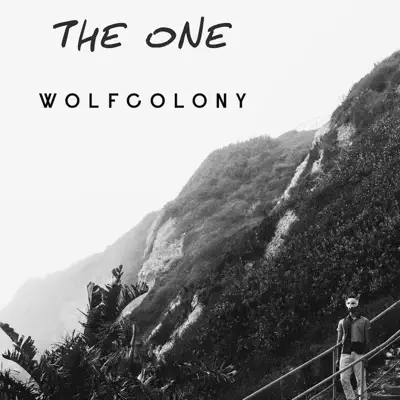 The One - Single - Wolf Colony