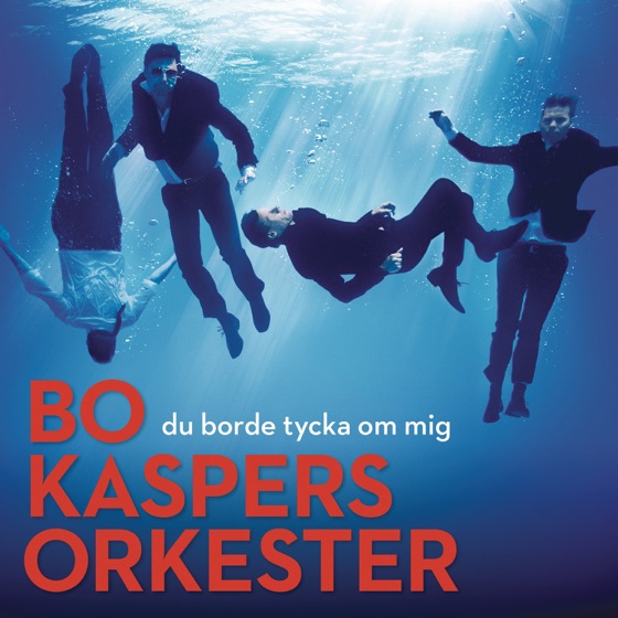 Cover artwork for Festen
