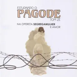 Estudando o Pagode - Tom Zé