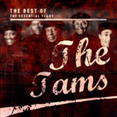 The Tams - I've Been Hurt