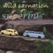 Slingshot 'Round the Sun - Wild Carnation lyrics