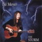 The Storm - Liz Meyer lyrics