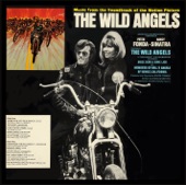 The Visitors - Theme From The Wild Angels
