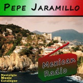 Mexican Radio artwork