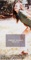 Hate Tell a Lie - EP ジャケット写真