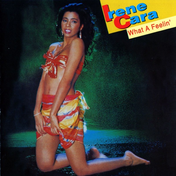 Album art for Flashdance... What A Feeling by Irene Cara