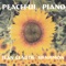 Peaceful Piano - Jean-Claude Bensimon lyrics