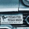 Texas In 1880 - Pat Green & Radney Foster lyrics