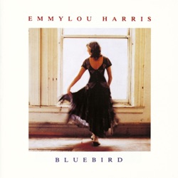 Emmylou Harris - Icy Blue Heart