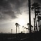 All Because of You - Pay money To my Pain lyrics